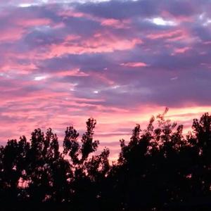 中国胖女人一级毛片aaaaa
